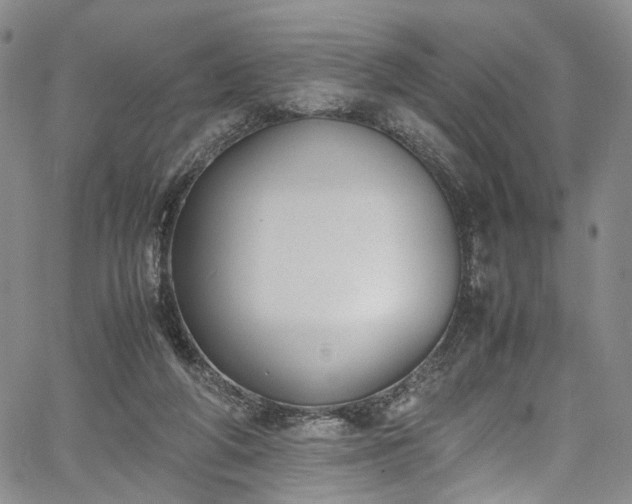 X0000067950210200604201439