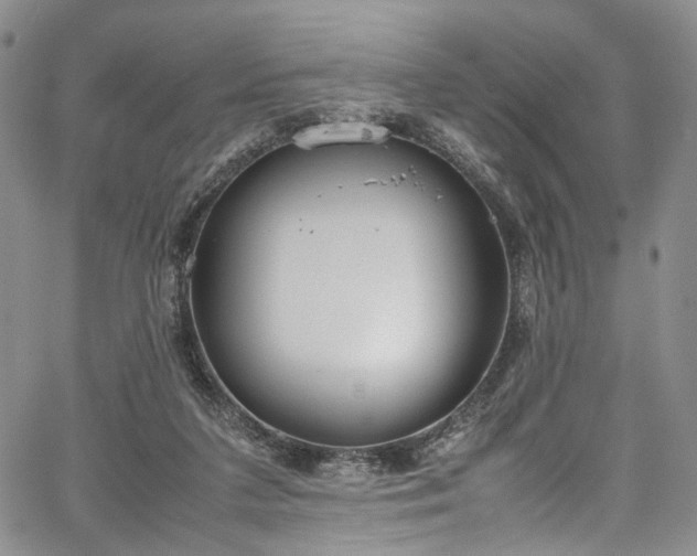 X0000067950211200604201439