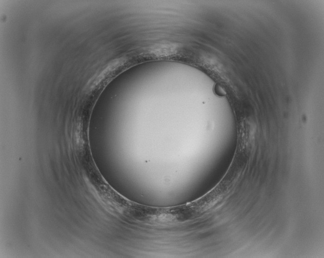 X0000067950212200604201439