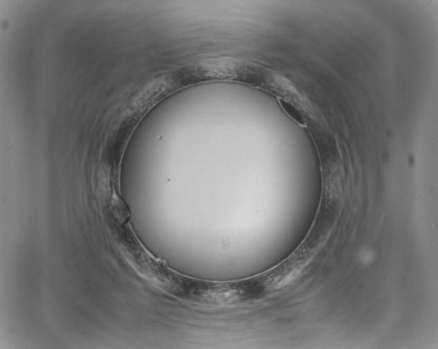 X0000067950213200604201439