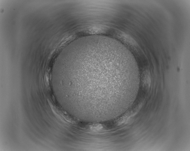 X0000067950214200604201439