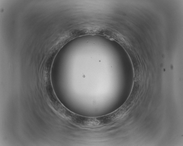 X0000067950215200604201439