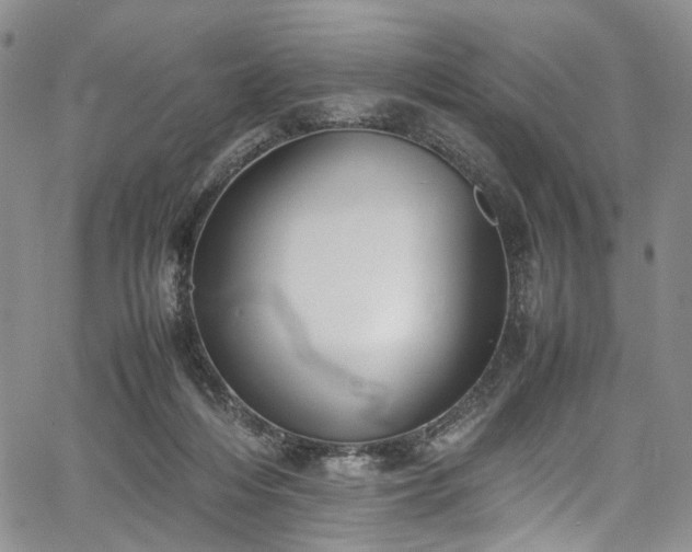 X0000067950216200604201439