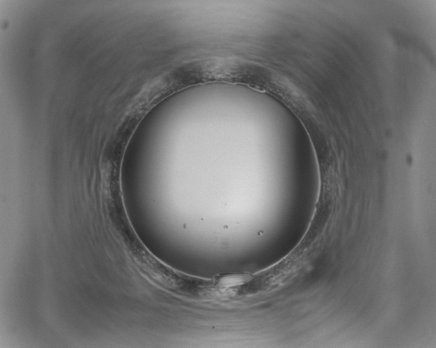 X0000067950217200604201439