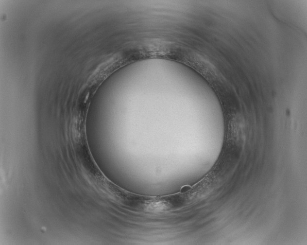 X0000067950218200604201439