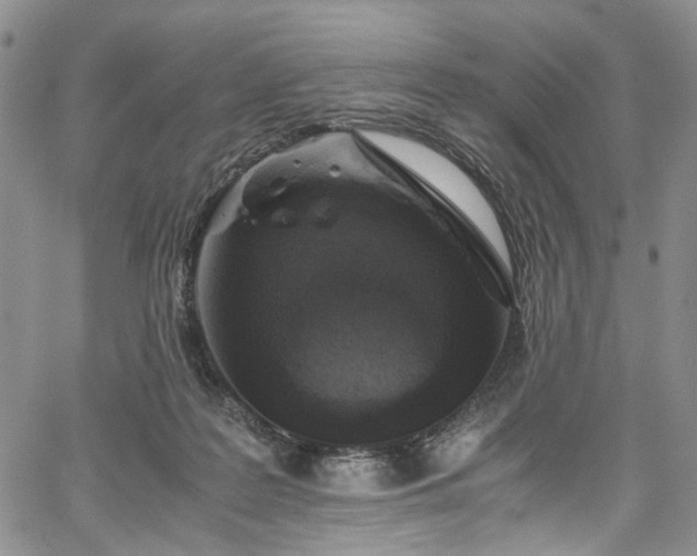 X0000067950219200604201439