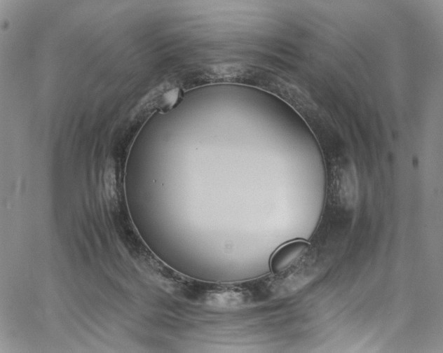 X0000067950220200604201439