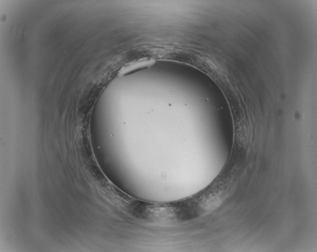 X0000067950221200604201439