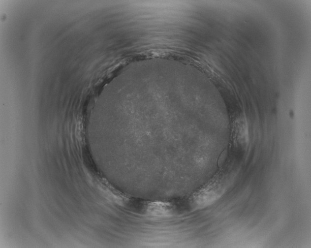 X0000067950222200604201439