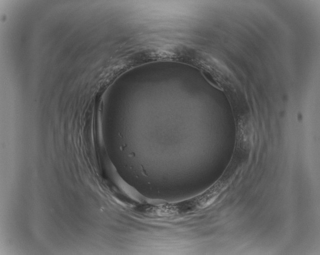 X0000067950223200604201439