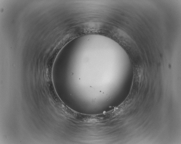 X0000067950224200604201439