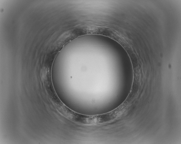 X0000067950225200604201439