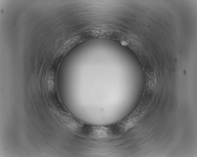 X0000067950226200604201439