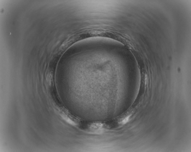 X0000067950227200604201439