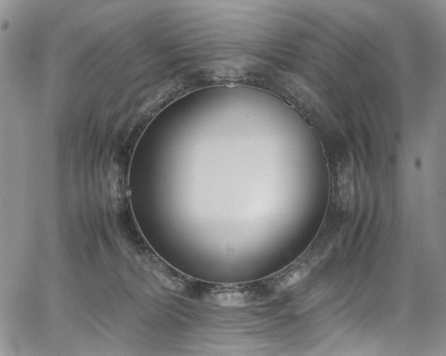 X0000067950228200604201439