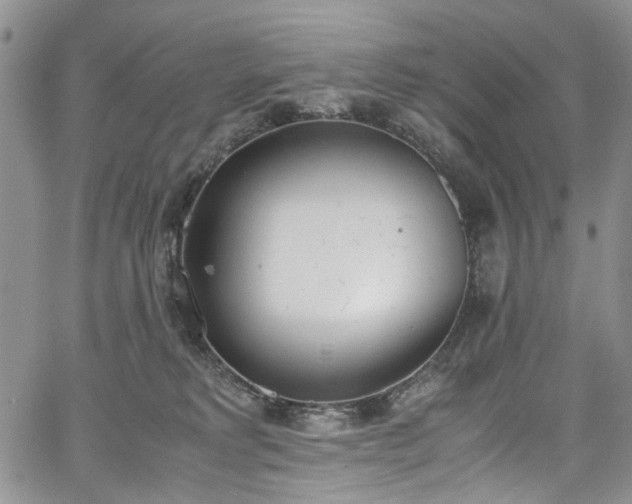 X0000067950229200604201439