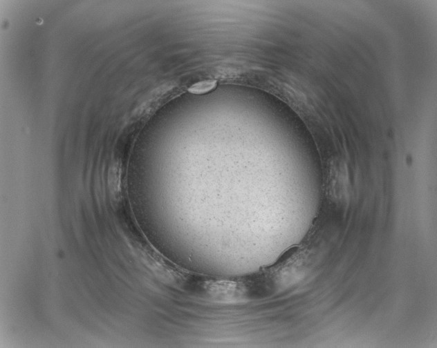 X0000067950230200604201439