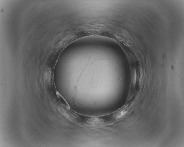 X0000067950231200604201439