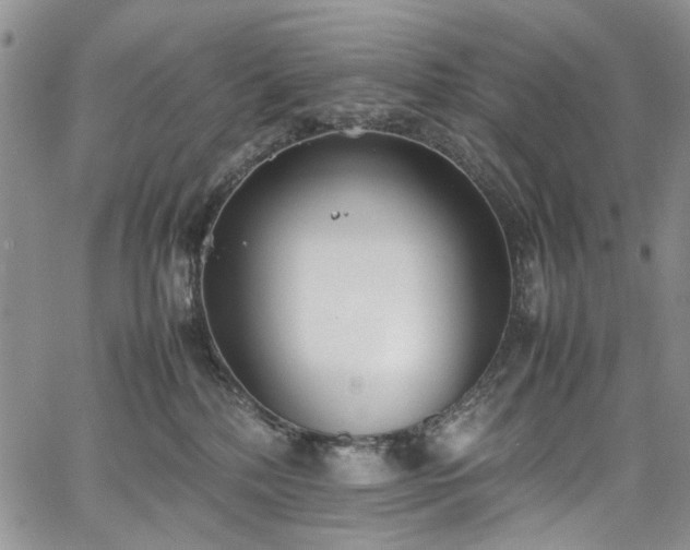 X0000067950232200604201439