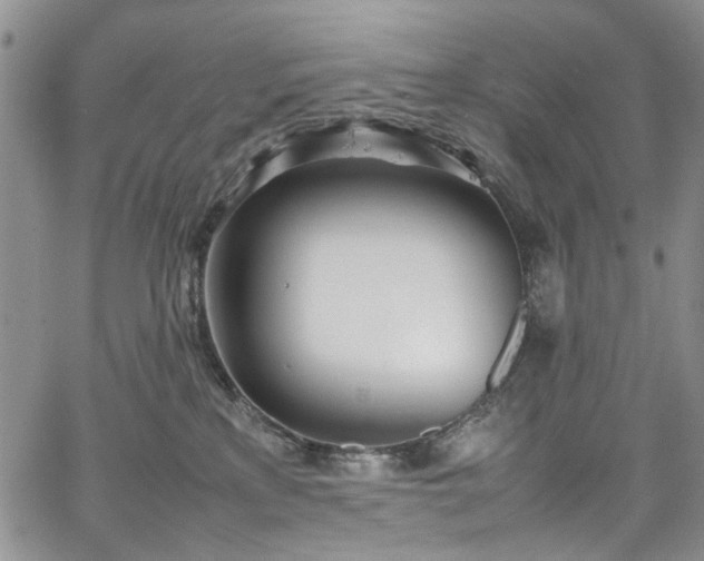 X0000067950233200604201439