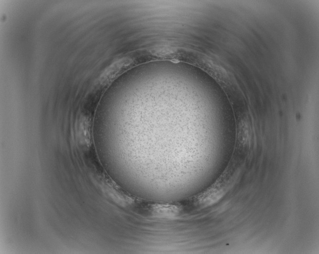 X0000067950234200604201439