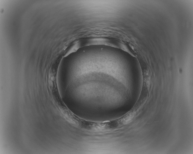 X0000067950235200604201439