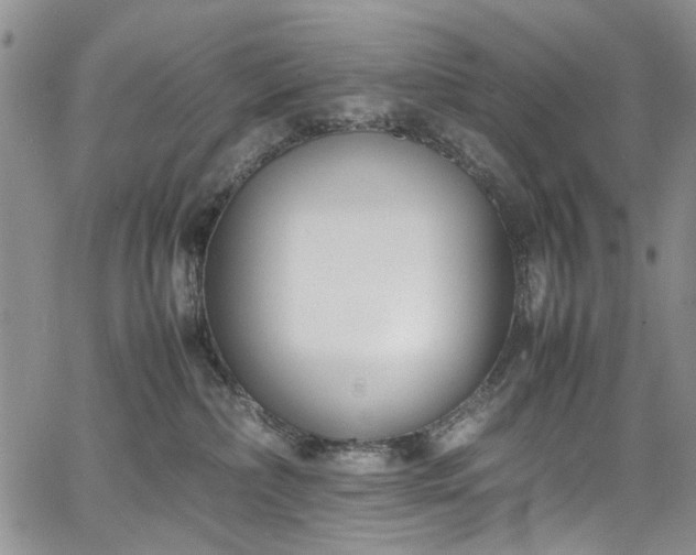 X0000067950236200604201439