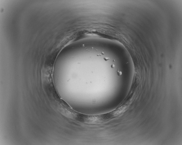 X0000067950237200604201439