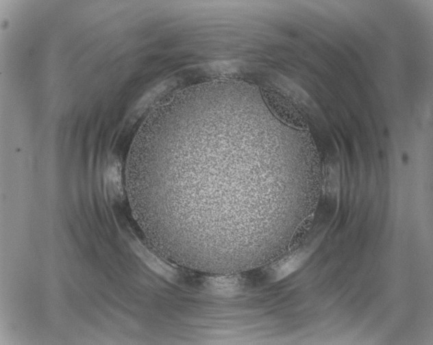 X0000067950238200604201439