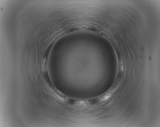 X0000067950239200604201439