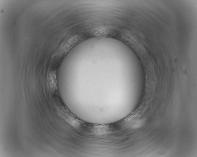 X0000067950240200604201439