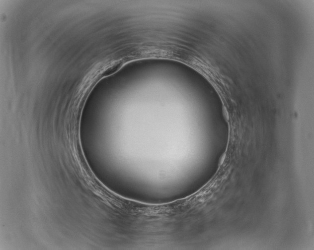 X0000067950241200604201438