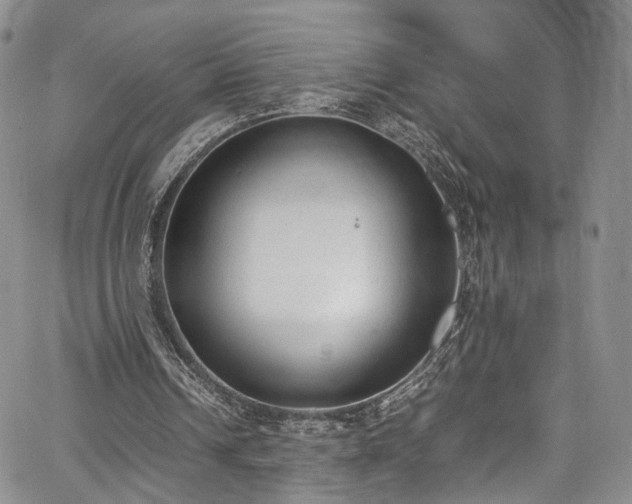 X0000067950242200604201438