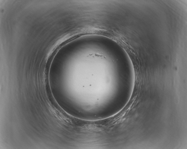 X0000067950244200604201438