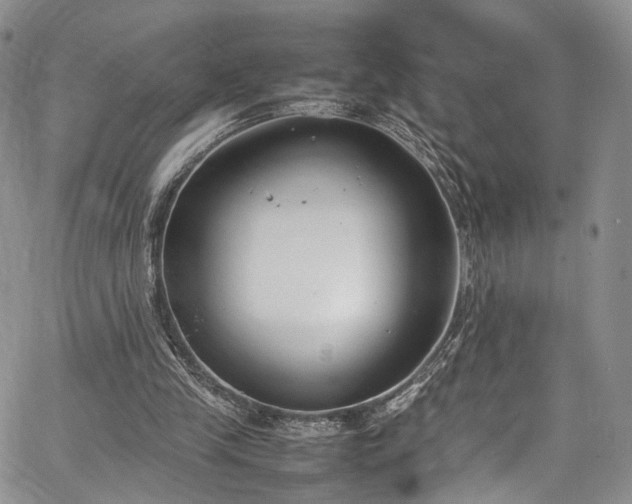 X0000067950245200604201438