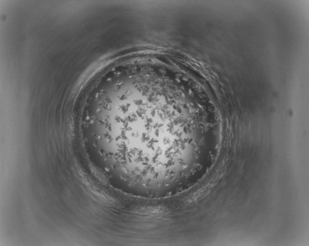 X0000067950247200604201438