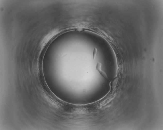 X0000067950248200604201438