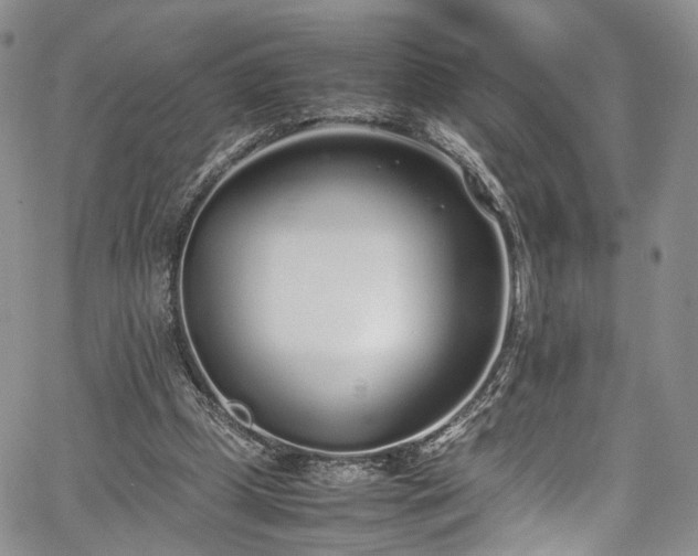 X0000067950249200604201438