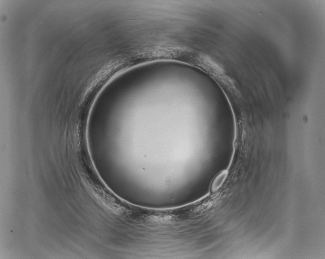 X0000067950250200604201438