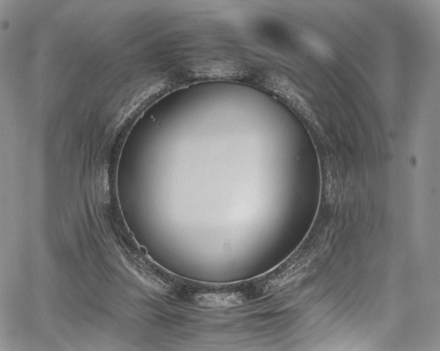 X0000067950251200604201438