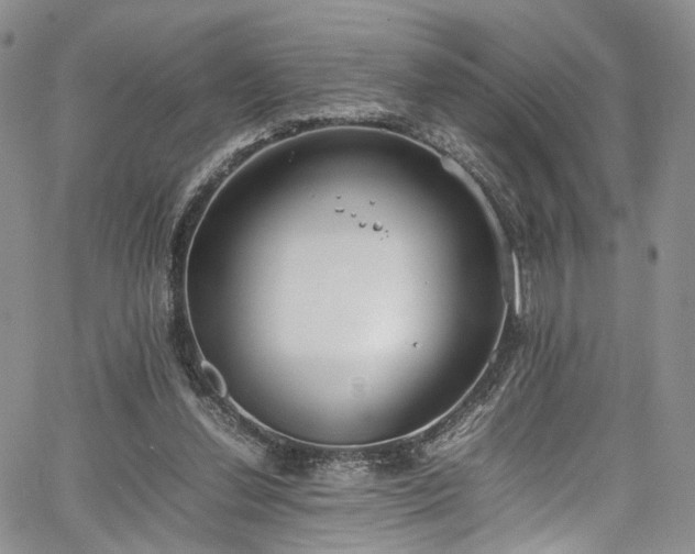 X0000067950252200604201438