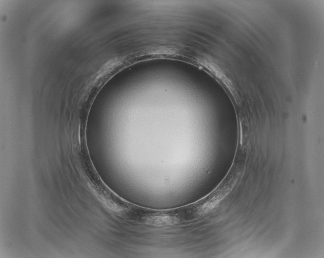 X0000067950253200604201438