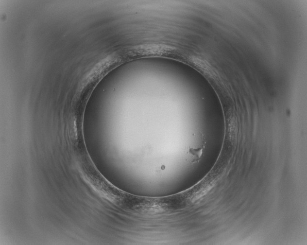 X0000067950254200604201438