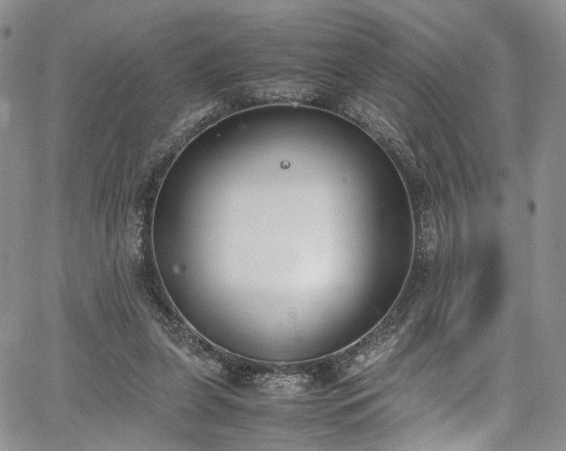 X0000067950255200604201438