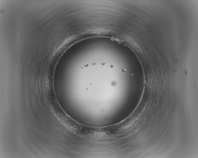 X0000067950256200604201438