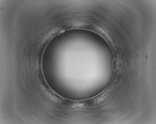 X0000067950257200604201438