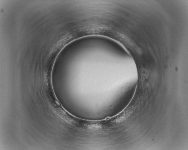 X0000067950258200604201438