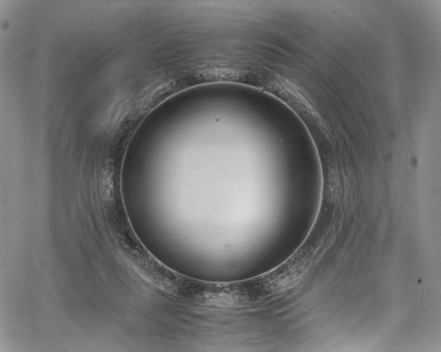 X0000067950259200604201438