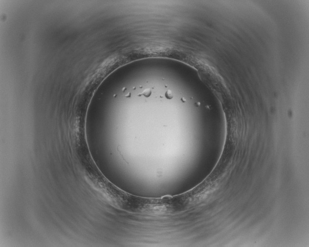 X0000067950260200604201438