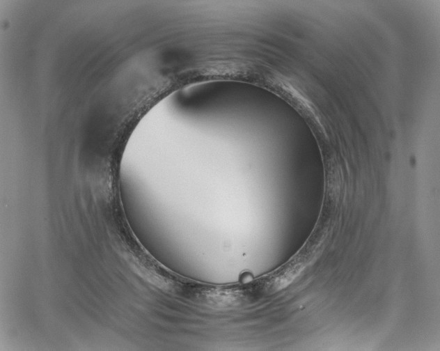 X0000067950261200604201438